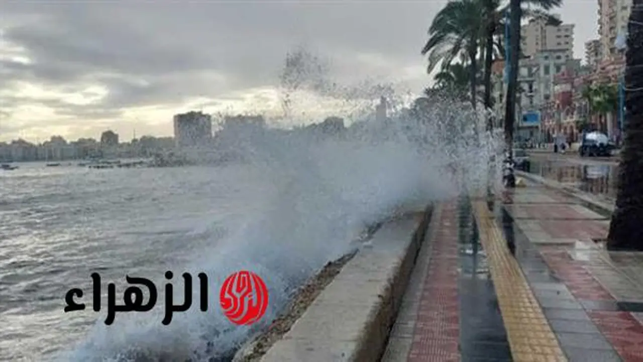 تقلبات جوية حادة تضرب الإسكندرية مع اقتراب نوة السلوم ومخاوف من الصقيع